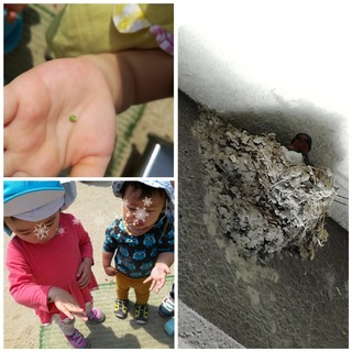 CollageMaker_20180515_194515420.jpg