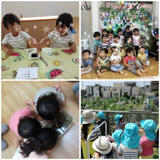 CollageMaker_20180709_162107388.jpg