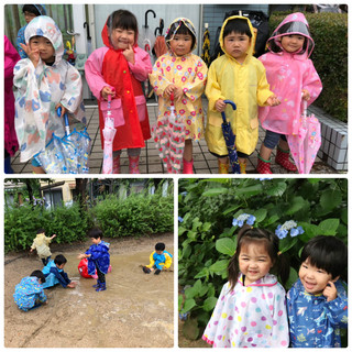 雨の日散歩3.jpg