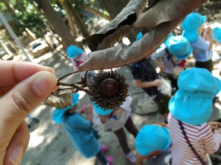 IMG_20181002_102039.jpg