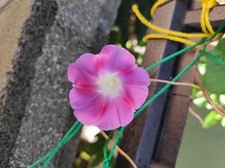 IMG_20200912_075514.jpg
